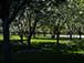 pic022a